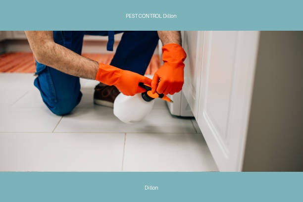 PEST CONTROL Dillon